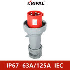 IP67 삼상 63A 125A 380V 산업 플러그 및 소켓 IEC 기준