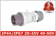 실내 폴란드 낮은 전압 마개 및 소켓 3개 40V 50V의 IEC309 기준